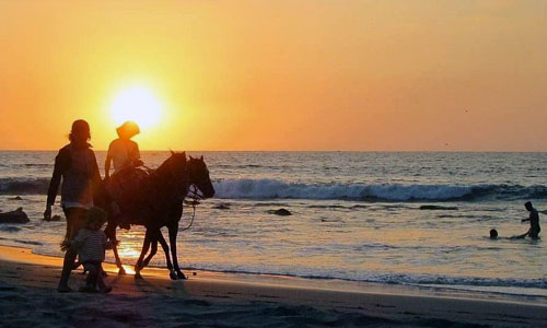 Mancora Trip Organizer